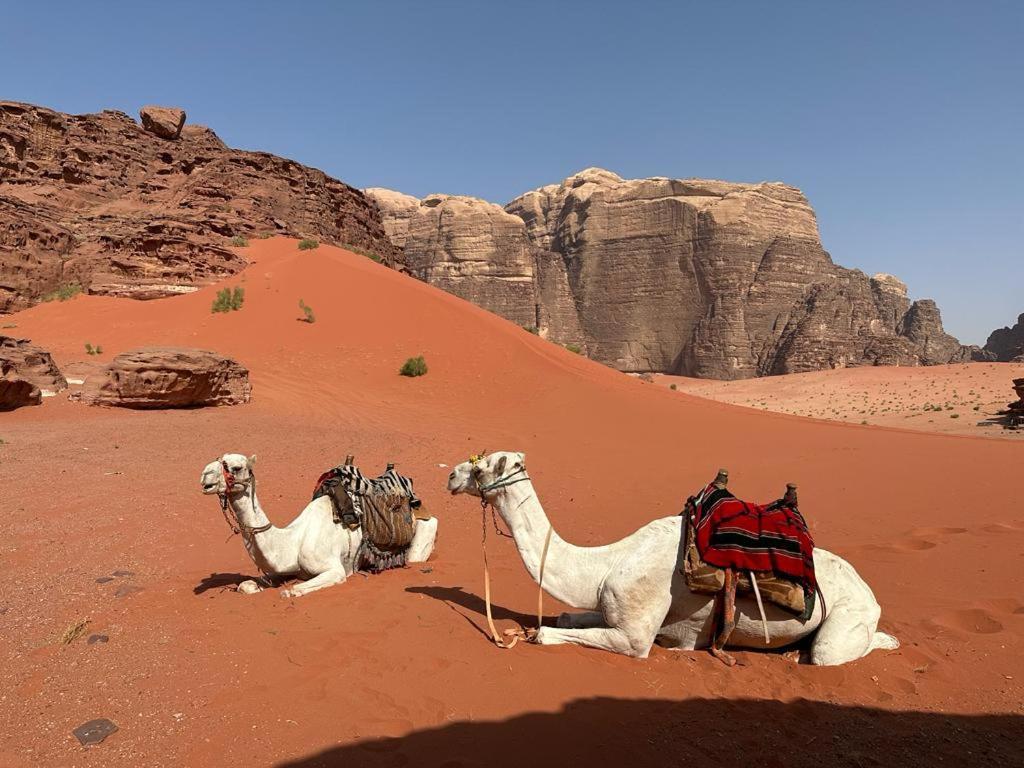 Готель Bedouin Tours Camp Ваді-Рам Екстер'єр фото